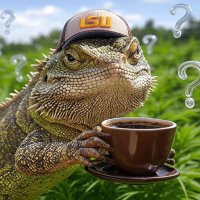 Farming all day π¨ (@b_rock239) 's Twitter Profile