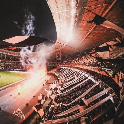 @botafogohinchas