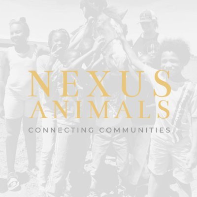 NexusAnimals's profile picture. Nexus Animals connects communities with at-risk horses, dogs, and cats in Oklahoma through education, outreach, and adoption—bridging gaps and saving lives.