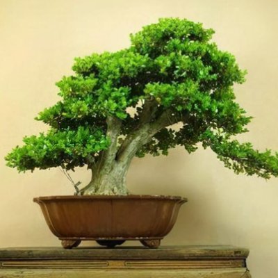 ChejuZz's profile picture. 有效理性｜考古学家一枚｜回归价值发现｜知行合一