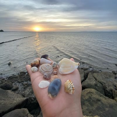 camaderieverie's profile picture. 