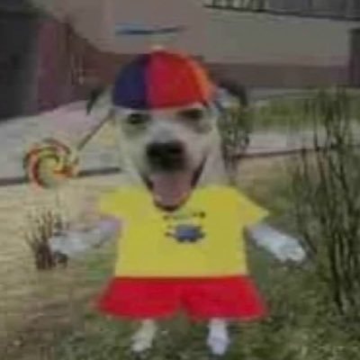 m0onzky's profile picture. O transtorno bipolar mal medicado é mais perigoso e imprevisível que um diabo da tasmânia usando crack, muitas vidas foram