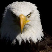 KINGJacob | (@kingjacob535282) 's Twitter Profile