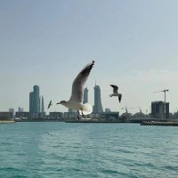 ع.ح.ح.ن🤍 (@walaay99) 's Twitter Profile