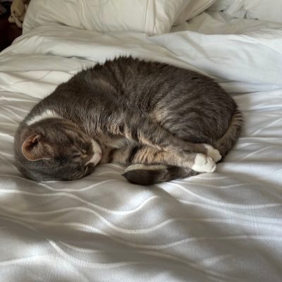 alottbot's profile picture. your pov: 👩🏻‍💻