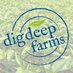 Dig Deep Farms (@digdeepfarmscsa) Twitter profile photo Dig Deep Farms (@digdeepfarmscsa) Twitter profile photo