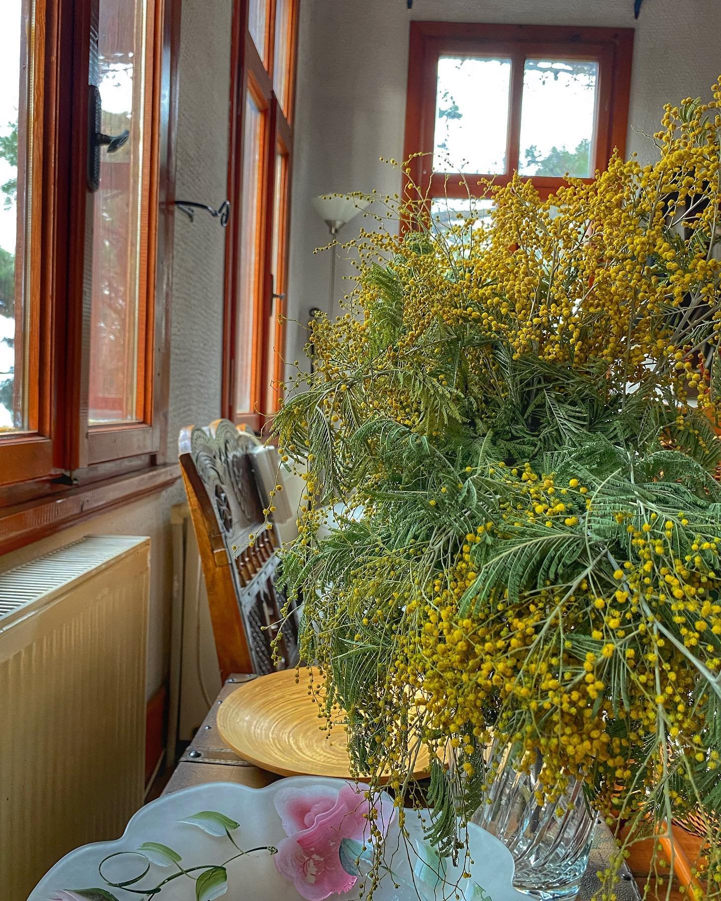 CorineSimo18313's profile picture. 