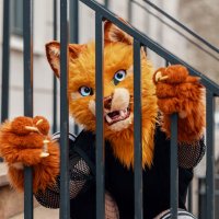 Detruo (@detruofa) 's Twitter Profile