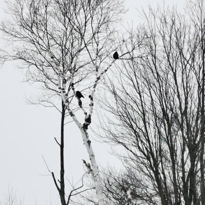 charlestao0113's profile picture. ：）