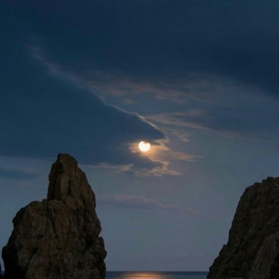 mi_dnp's profile picture. 🇸🇦