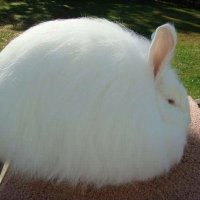 unused (@trent_reznor) 's Twitter Profile