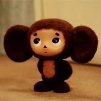 sofs ౨ৎ 🌰 (@hrrysnoopy) 's Twitter Profile