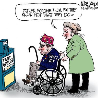 Former life long registered Republican who wonders what the hell happened to her party NO DMs please