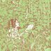 tom (@454e9e) Twitter profile photo tom (@454e9e) Twitter profile photo