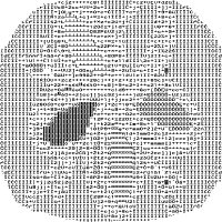 userlolxxl (@userlolxxl) 's Twitter Profile
