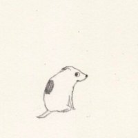 🐒 (@monkeydupe) 's Twitter Profile