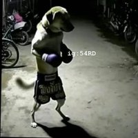 Da Weekend itself (@daweekenditself) Twitter profile photo