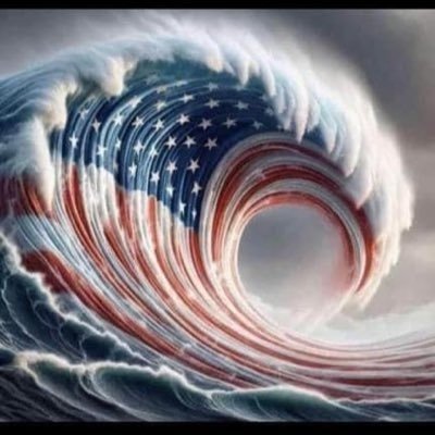 LWFritz's profile picture. 42yrs upholding my sworn oath, to defend & protect the consitution of the U.S  from all enemies, foreign & domestic.  Now, actively doing civic duty as civilian
