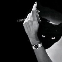 bero (@bil_r8) 's Twitter Profile