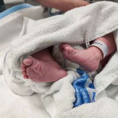 EricHkansson1's profile picture. hobbyist Vibe Coder
founder @thenohandscompany
Projects: Block Wars, Versa Game Engine, VersaUI, GRAIL Browser 2025 and more.