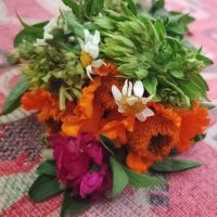 يماني حـــــر (@cihkajsbbimktsx) 's Twitter Profile