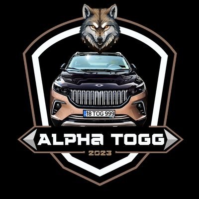 AlphaTogg's profile picture. 📽Togg Deneyim Videoları
🏞 Temiz Enerji
🔌Elektrikli Otomobiller