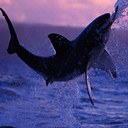 cesar salgado p - @cesarsalgadop1 - Twitter