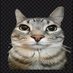 .. (@iconicz__) Twitter profile photo .. (@iconicz__) Twitter profile photo