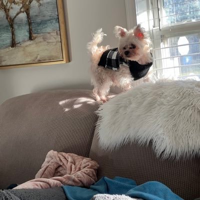 Jcrccox's profile picture. MAGA all the way 🇺🇸 I don’t apologize for my beliefs. America first, proud animal lover. 🚫DM