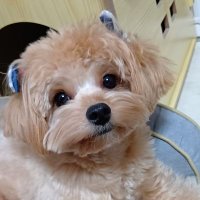 秀明 (@katohhideaki) Twitter profile photo