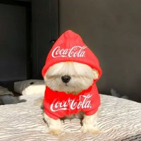 BigShort (@shazzaa26) 's Twitter Profile