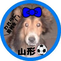 シェルティ (@cyappi01) 's Twitter Profile