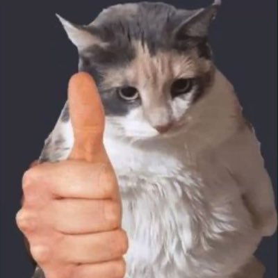 chodivsudepozde's profile picture. 28. she/her. kocky, veda, videohry, celebritne drama. solidne dolava a teplo.