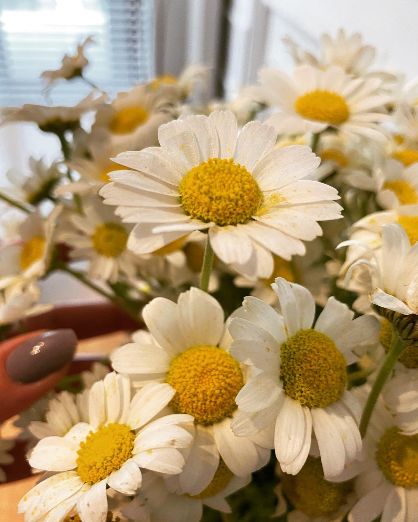 GleasonJaq68409's profile picture. 