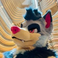 astro (@astrothewolf) 's Twitter Profile
