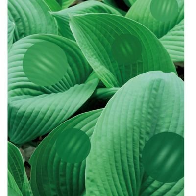 5dNxUeGnrMrFZGu's profile picture. 