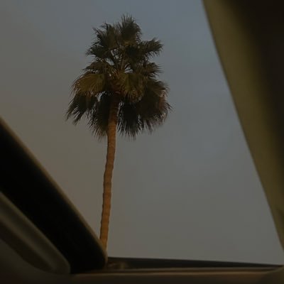 33_iillu's profile picture. ّ