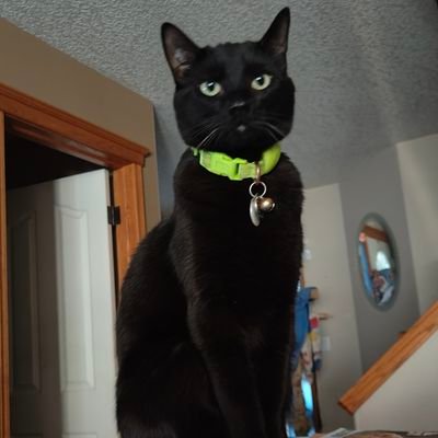 beerdude58090's profile picture. 