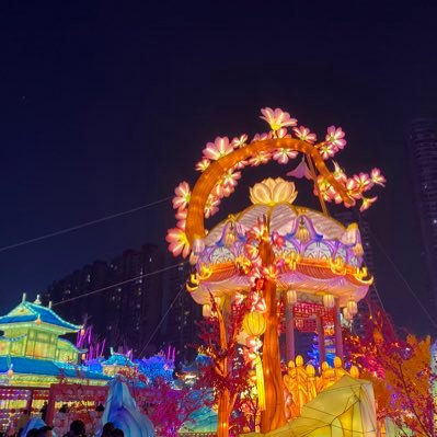 Ming166466's profile picture. crypto currency