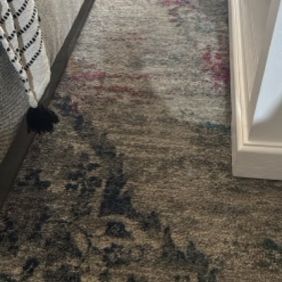 javiercamau's profile picture. just a guy