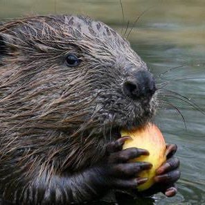 m23348057's profile picture. 