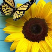 ユミユミ(^-^)v🩶💛 (@v2785958192285) Twitter profile photo