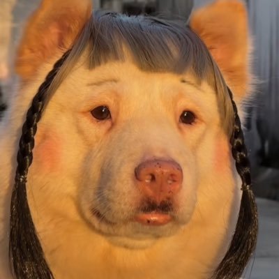 1W1j9nAWKY52236's profile picture. 08 学生 ♂ 🥧凸🙆