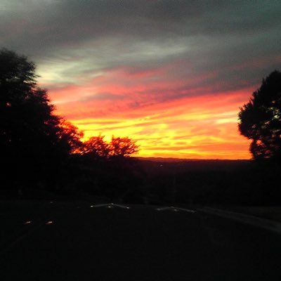 KevinGandt's profile picture. 