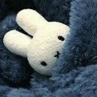 yanni 🐇་ (@hirayanni) 's Twitter Profile