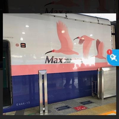しげっきー Shigekky JPN. 飛行機✈️撮影。国内旅行好き。うさぎ大好き 。アイドル好き NGT48 新潟