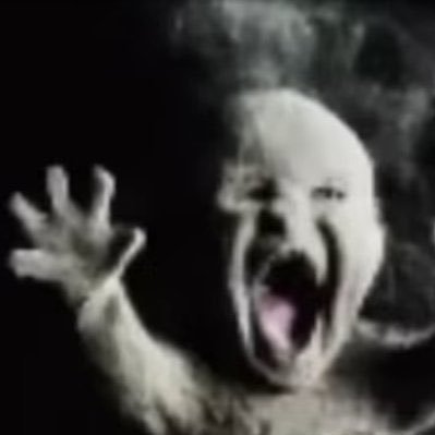 insane_fruit's profile picture. 19 years old - She/Her💫
^_^