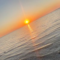 Desi Pardesi (@dilhytumhara) 's Twitter Profile Photo Desi Pardesi (@dilhytumhara) 's Twitter Profile Photo