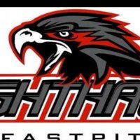 Nighthawks Fastpitch (@nighthawkssb25) Twitter profile photo