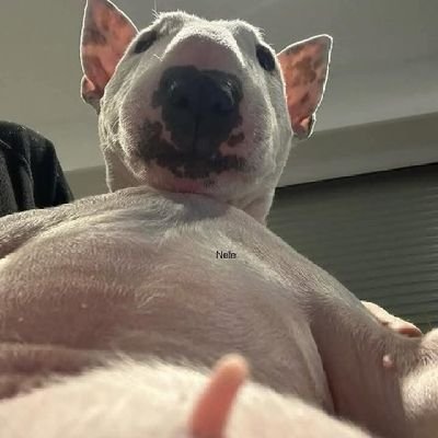 DANIIELNARVAEZR's profile picture.